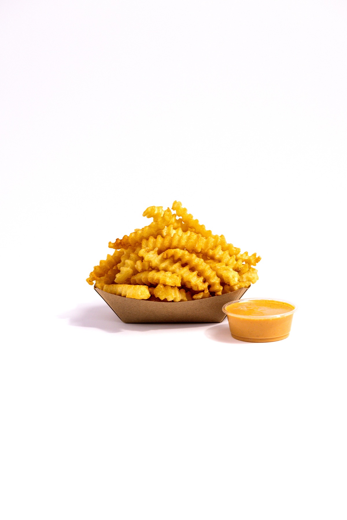 Birdcode fries with sauce on white